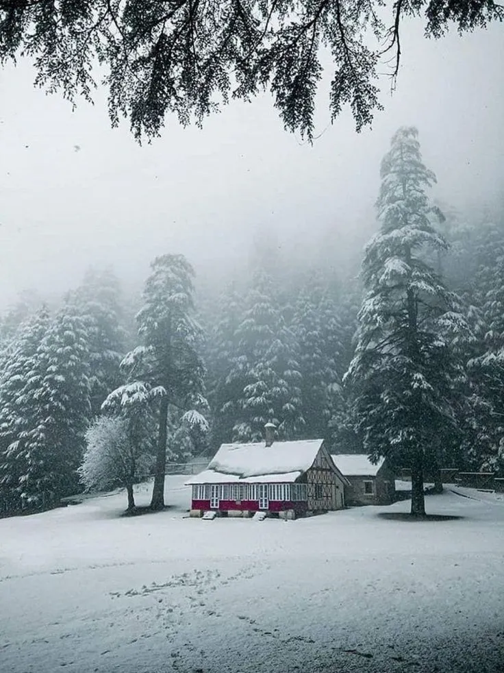 Snowfall Places in Himachal Pradesh – Best Winter Destinations to Experience Snow in 2026