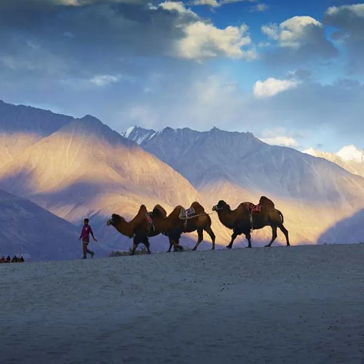 Incredible Ladakh with Hunder Sand Dunes Experience