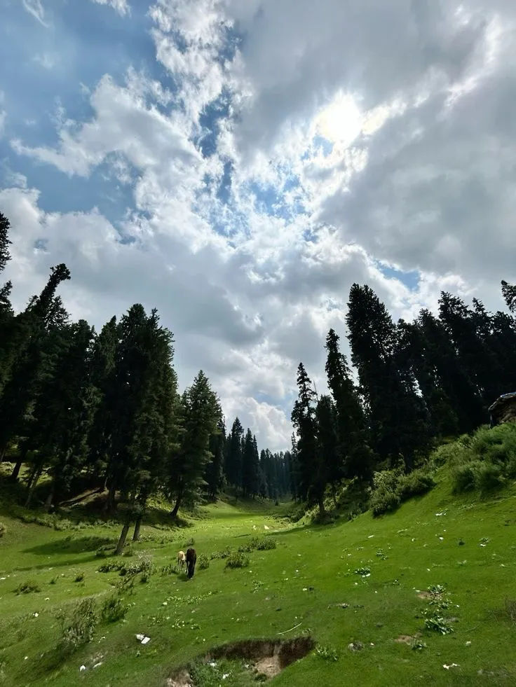 Kashmir Explorer with Yusmarg Excursion